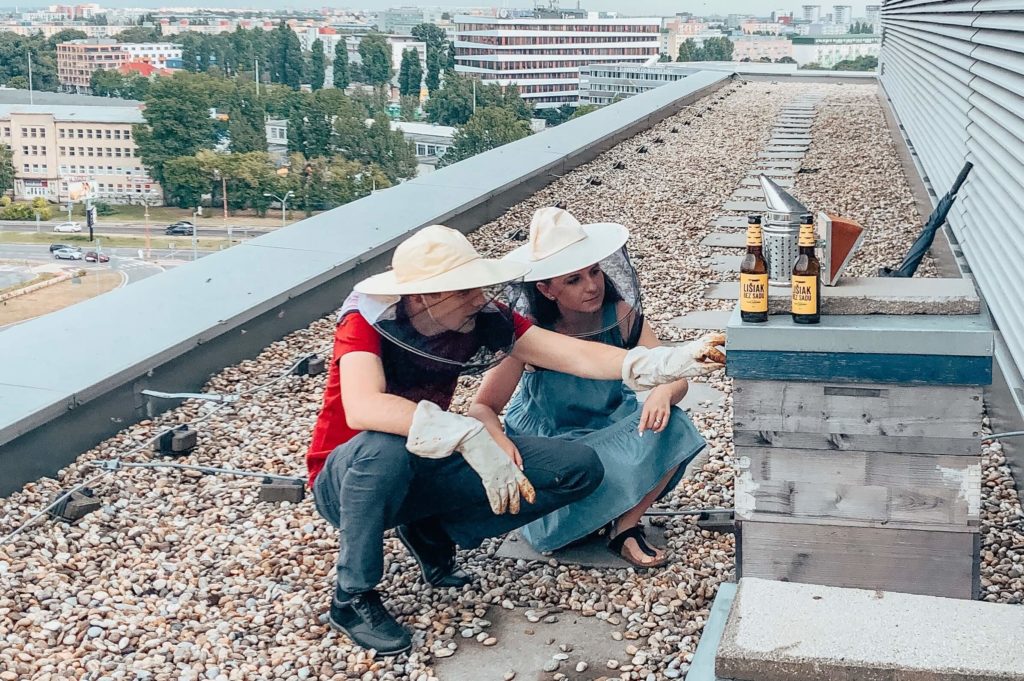 Lišiak zo sadu